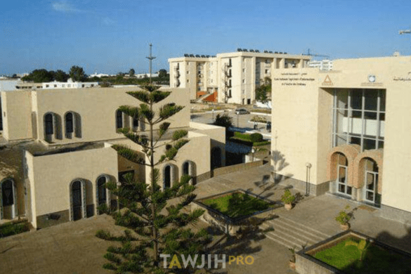 المدرسة الوطنية العليا للمعلوميات وتحليل النظم