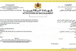 نتائج البكالوريا 2025: موعد الإعلان وكيفية الاطلاع على النتائج