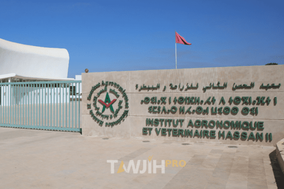 معهد الحسن الثاني للزراعة والبيطرة