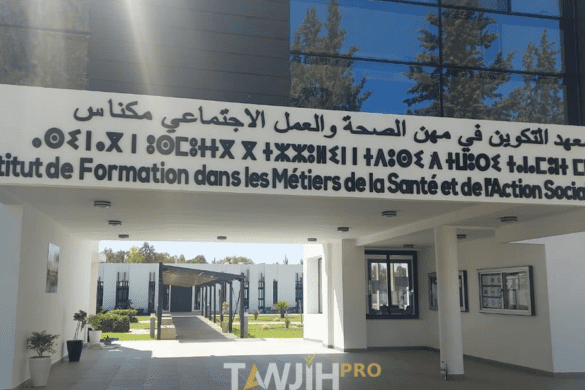 معاهد التكوين في مهن الصحة والمساعدة الاجتماعية