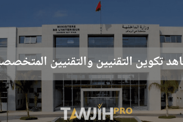 معاهد تكوين التقنيين والتقنيين المتخصصين التابعة لوزارة الداخلية