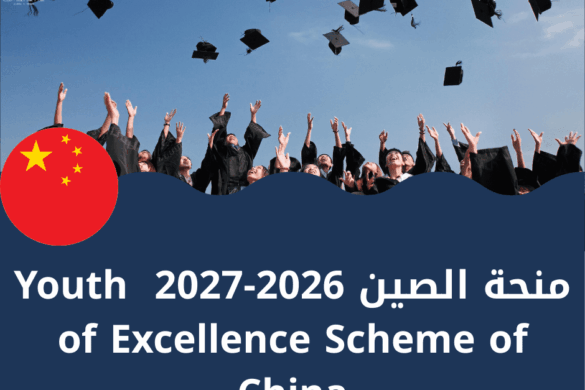 منحة Youth of Excellence Scheme of China 2026-2027