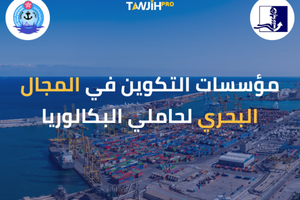 مؤسسات التكوين في المجال البحري لحاملي البكالوريا