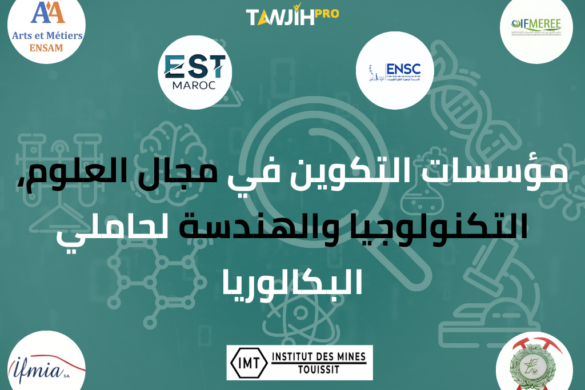 مؤسسات التكوين في مجال العلوم، التكنولوجيا والهندسة لحاملي البكالوريا