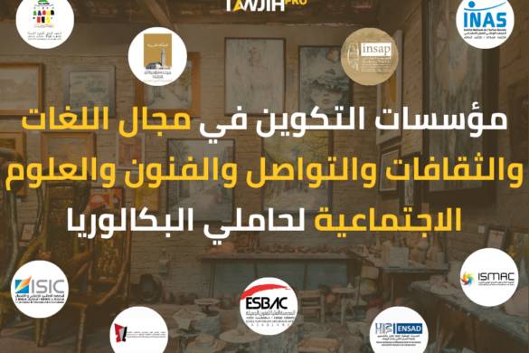مؤسسات التكوين في مجال اللغات والثقافات والتواصل والفنون والعلوم الاجتماعية لحاملي البكالوريا